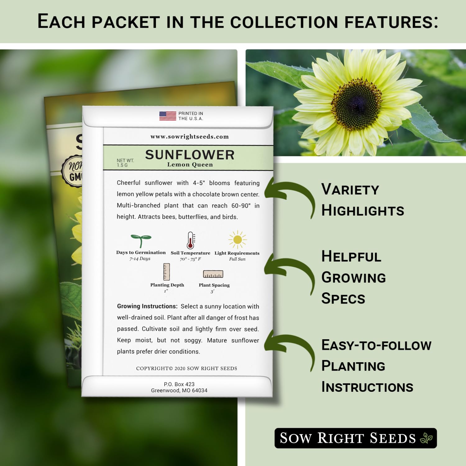 Amazon.com : Sow Right Seeds - Large Sunflower Seed Collection for